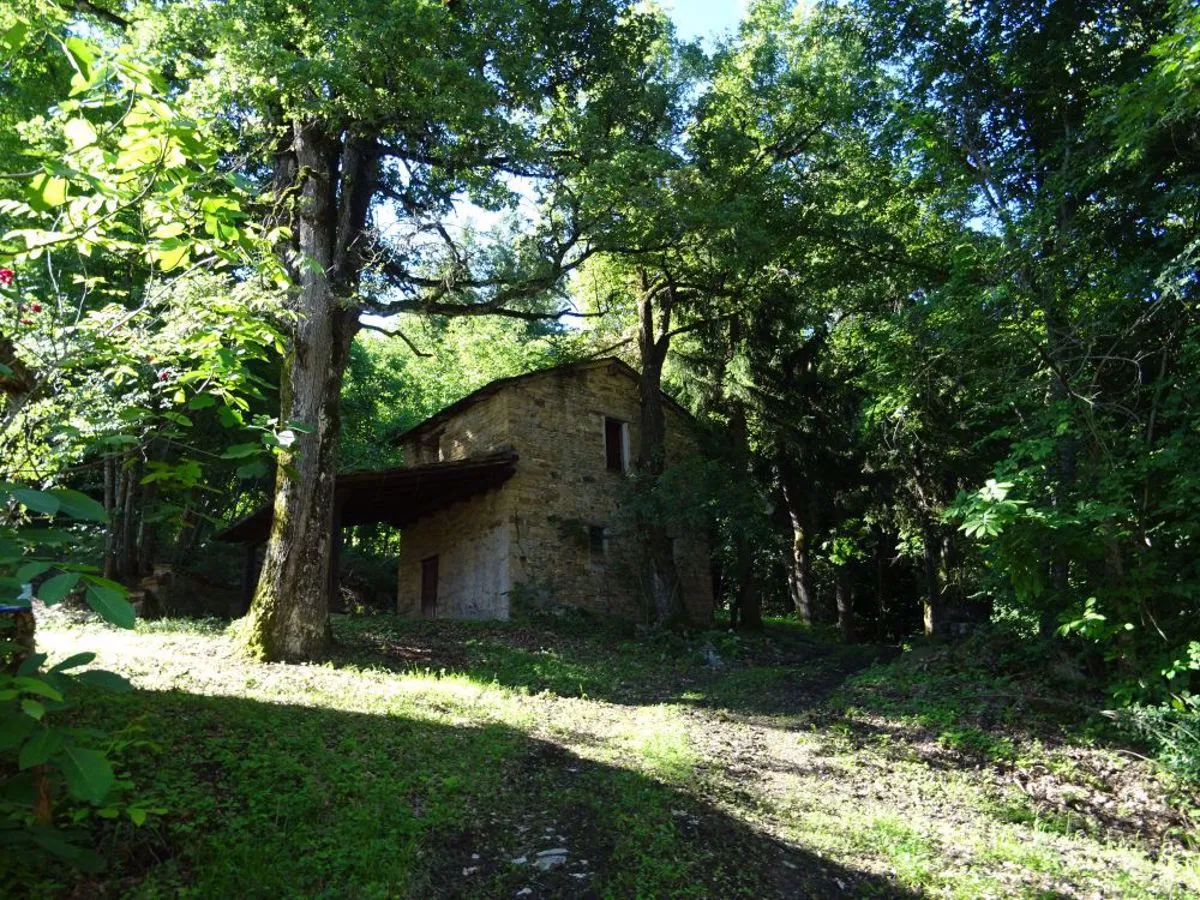 Rustico/Casale in vendita a Montese - foto 3