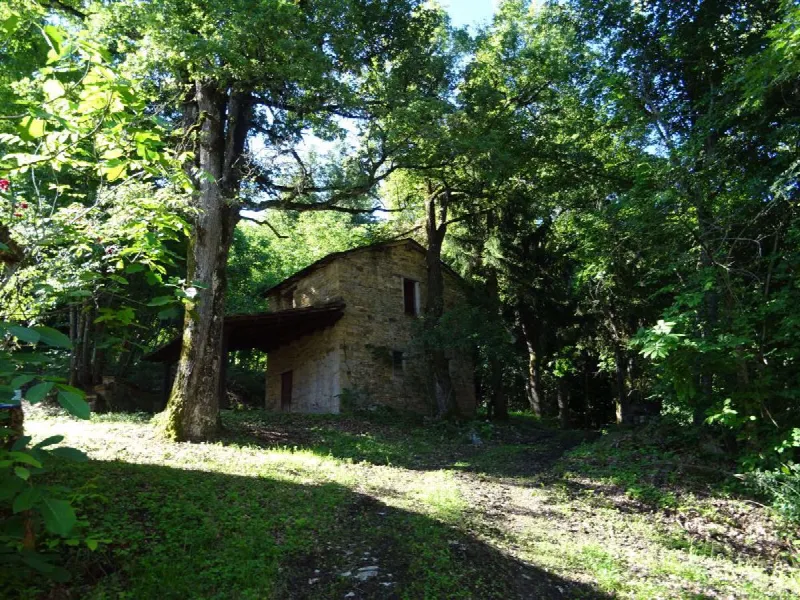 Rustico/Casale in vendita a Montese - foto 3