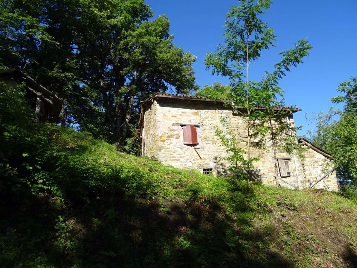 Rustico/Casale in vendita a Montese - foto 4