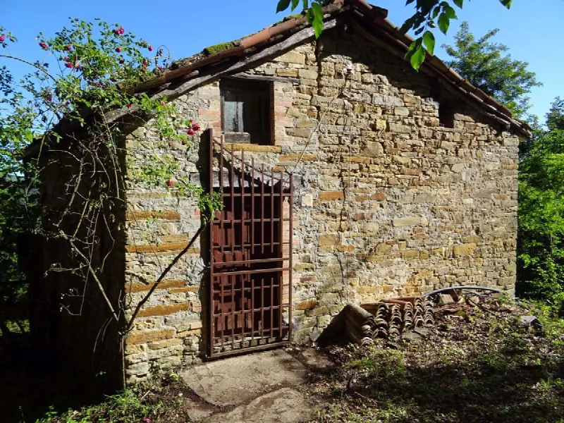 Rustico/Casale in vendita a Montese - foto 6