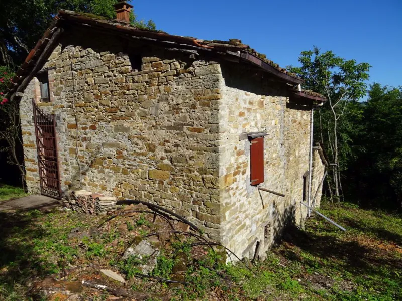 Rustico/Casale in vendita a Montese - foto 7