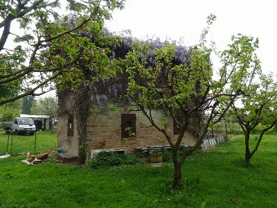 Rustico/Casale in vendita a Spilamberto - foto 4