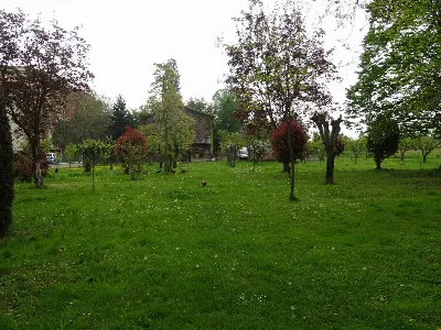 Rustico/Casale in vendita a Spilamberto - foto 6