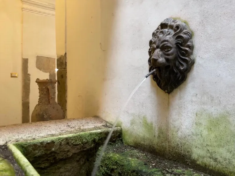 Villetta a schiera in vendita a Orte - foto 10