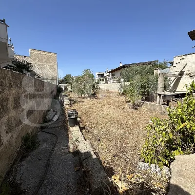 Casa Indipendente in vendita a Alliste - foto 3