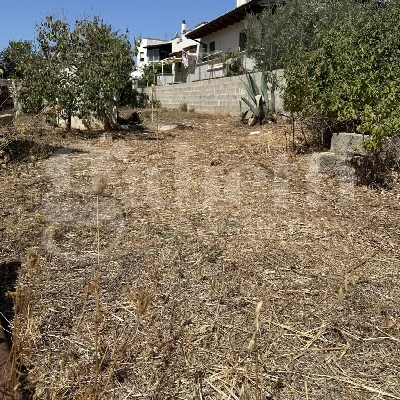 Casa Indipendente in vendita a Alliste - foto 4
