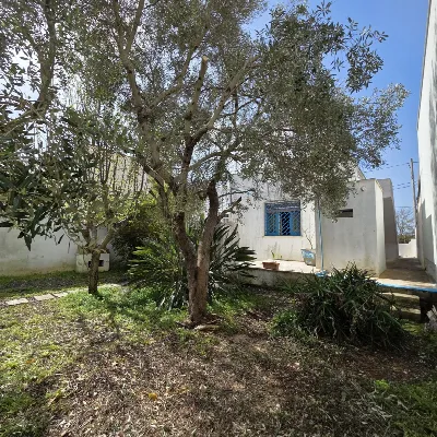 Casa Indipendente in vendita a Ugento - foto 7