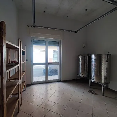 Appartamento in vendita a Taurisano - foto 6