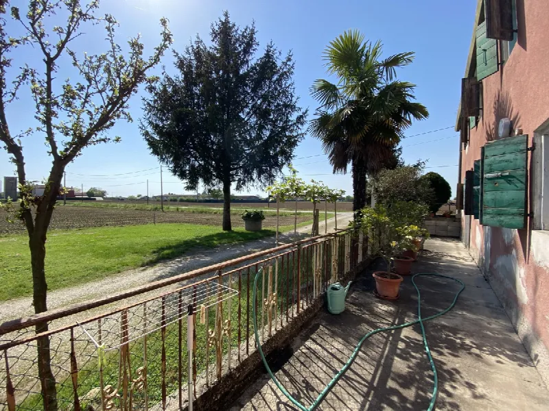 Rustico/Casale in vendita a Pojana Maggiore - foto 4
