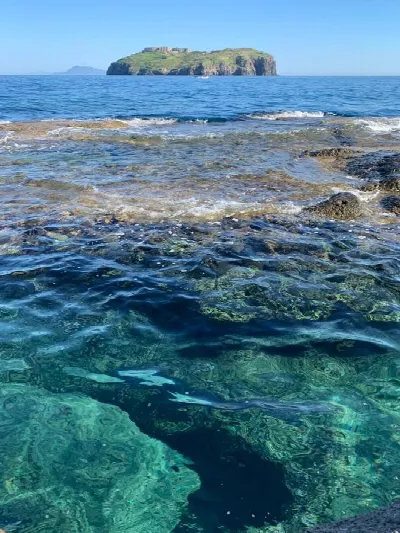 Appartamento in vendita a Ventotene - foto 1