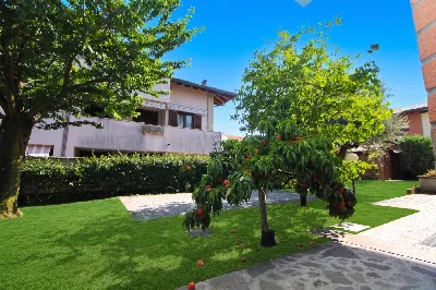 Appartamento in vendita a Olgiate Olona - foto 4