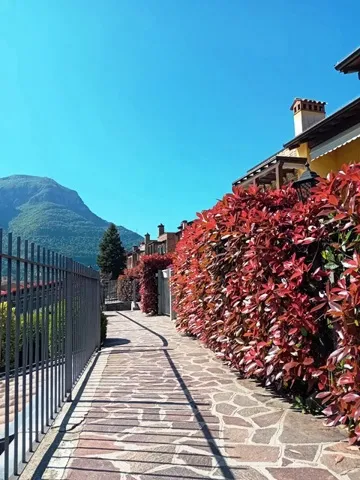 Appartamento in vendita a Ranzanico - foto 3