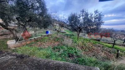 Casa Indipendente in vendita a Veroli - foto 6