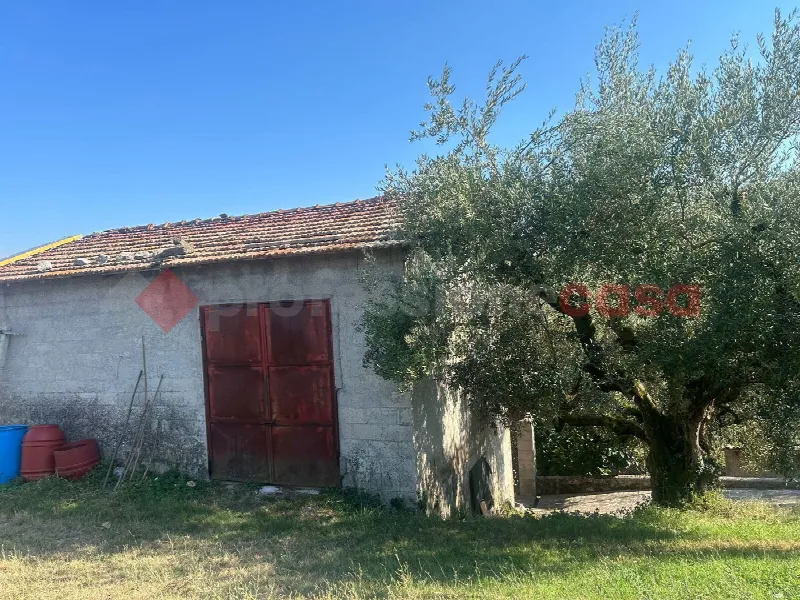 Rustico/Casale in vendita a Veroli - foto 10
