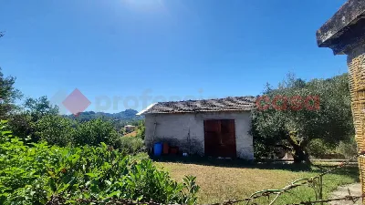Rustico/Casale in vendita a Veroli - foto 7