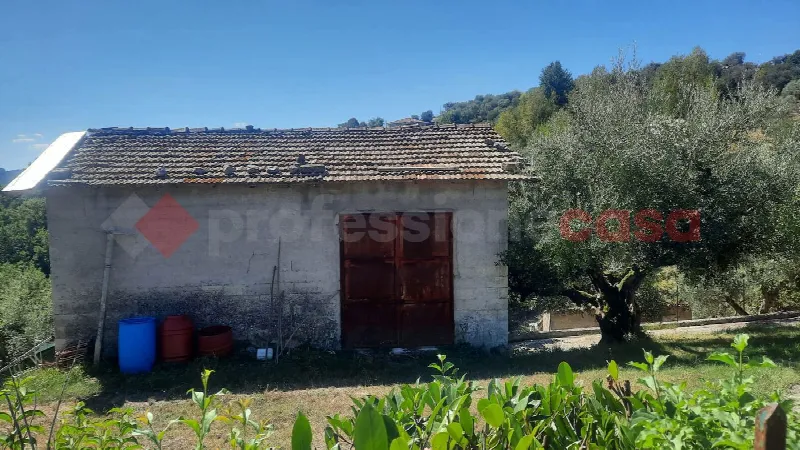Rustico/Casale in vendita a Veroli - foto 8