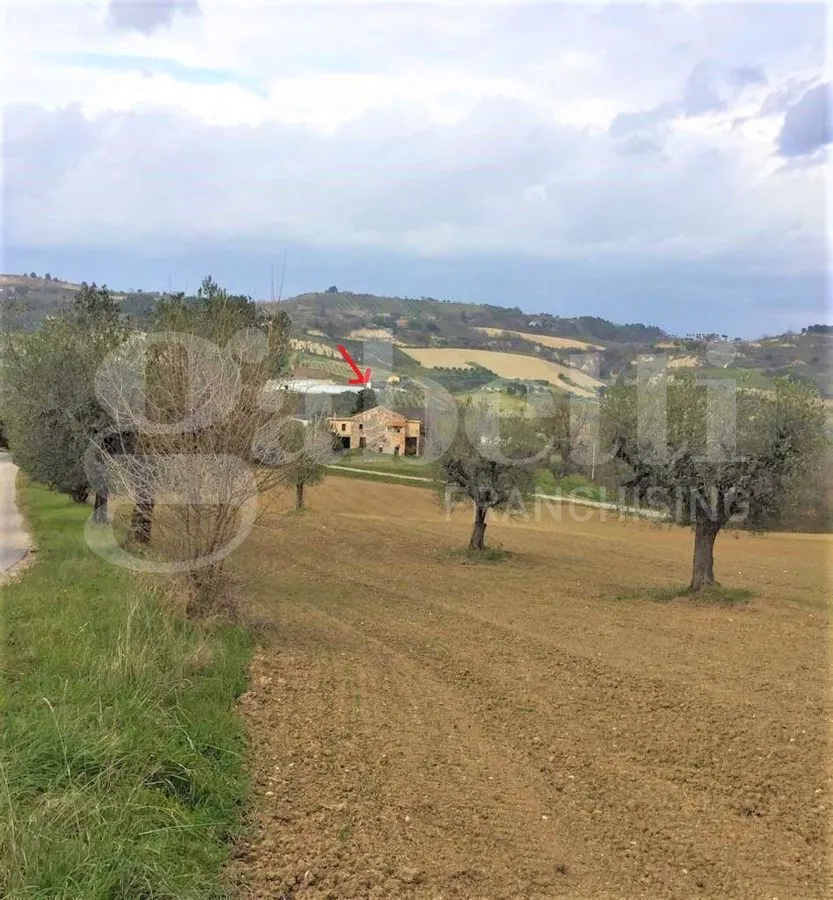 Rustico/Casale in vendita ad Acquaviva Picena - foto 3