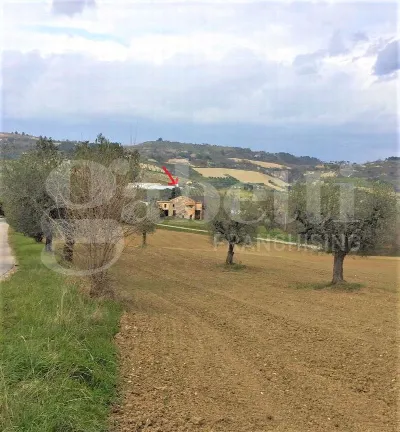 Rustico/Casale in vendita ad Acquaviva Pic... - foto 3