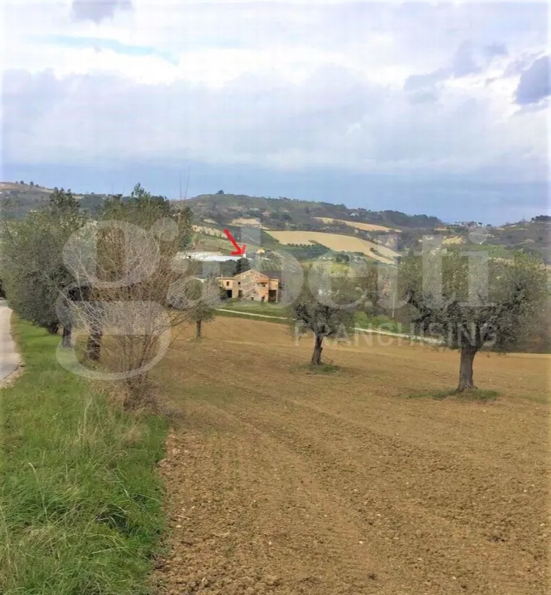 Rustico/Casale in vendita a Acquaviva Picena - foto 3