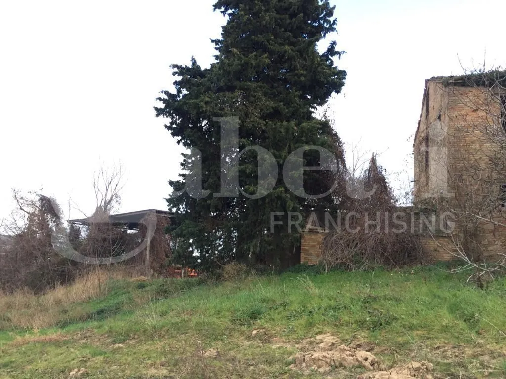 Rustico/Casale in vendita ad Acquaviva Picena - foto 4