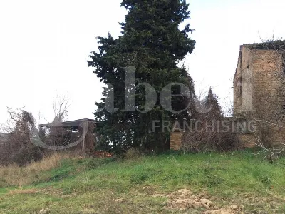 Rustico/Casale in vendita ad Acquaviva Pic... - foto 4