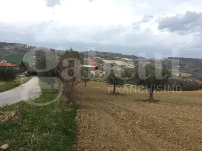 Rustico/Casale in vendita ad Acquaviva Pic... - foto 7