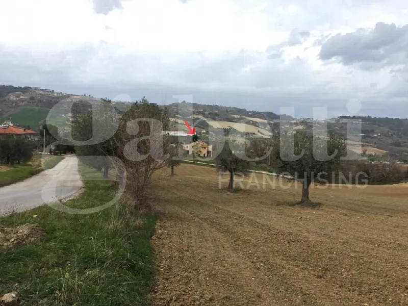 Rustico/Casale in vendita a Acquaviva Picena - foto 7