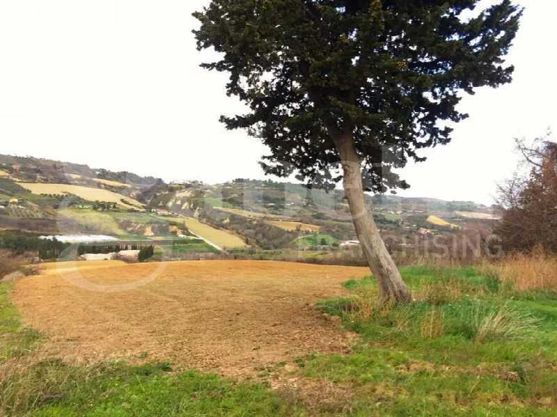 Rustico/Casale in vendita a Acquaviva Picena - foto 8