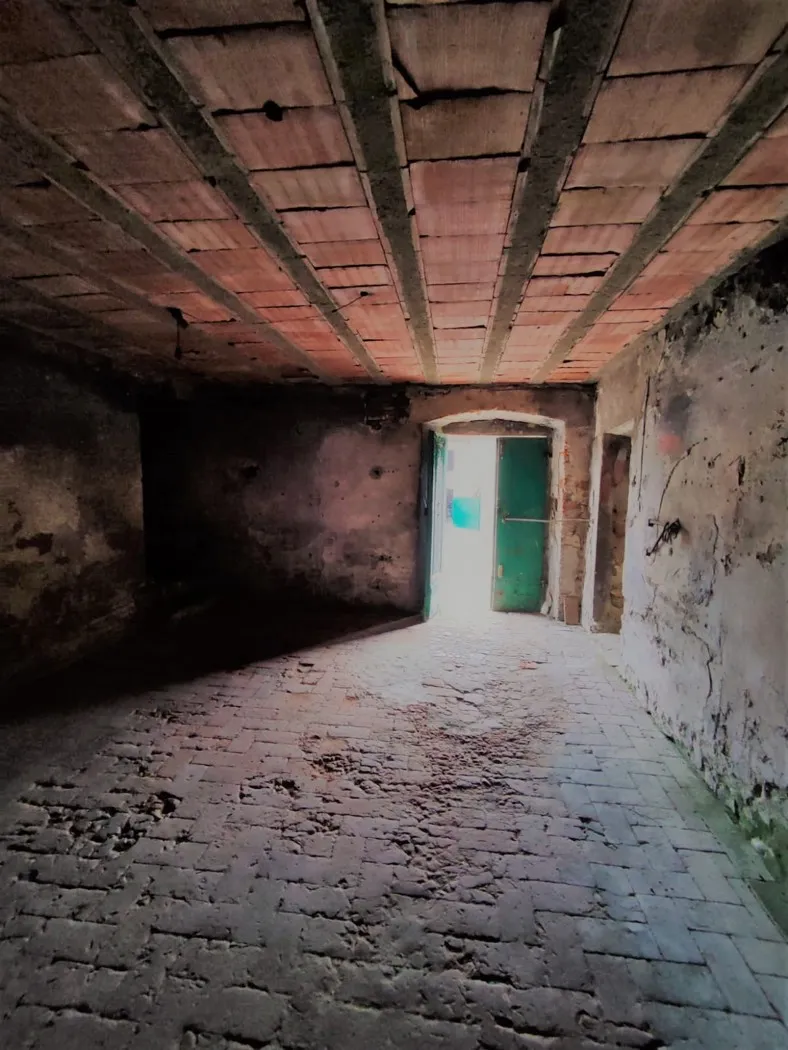 Rustico/Casale in vendita a Pistoia, Barile, Spazzavento, Ramini, Bargi, Masiano - foto 5