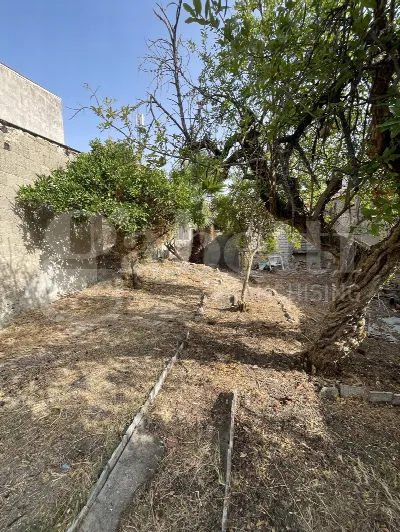 Casa Indipendente in vendita a Oristano - foto 3