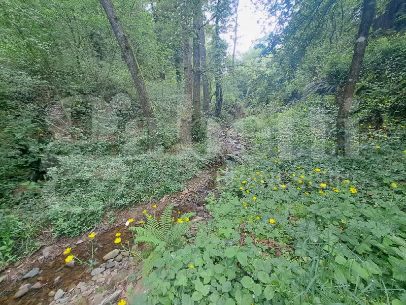 Rustico/Casale in vendita a Lamporecchio - foto 8