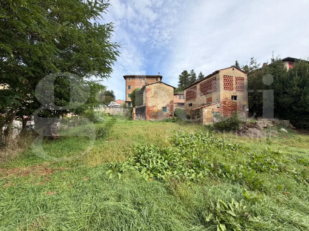 Rustico/Casale in vendita a Palaia - foto 5