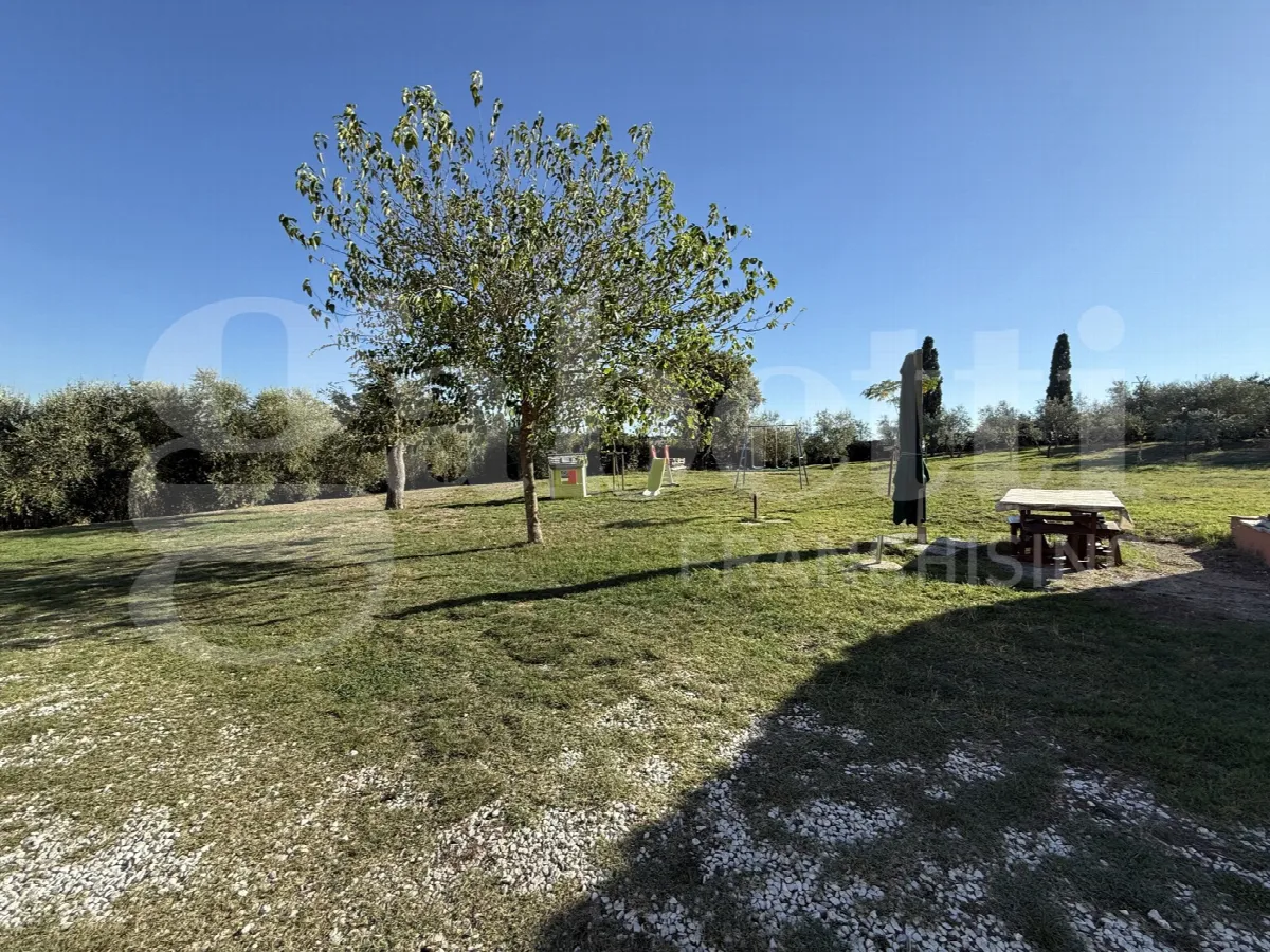 Rustico/Casale in vendita a Fauglia - foto 3