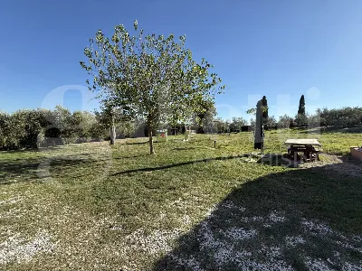 Rustico/Casale in vendita a Fauglia - foto 3