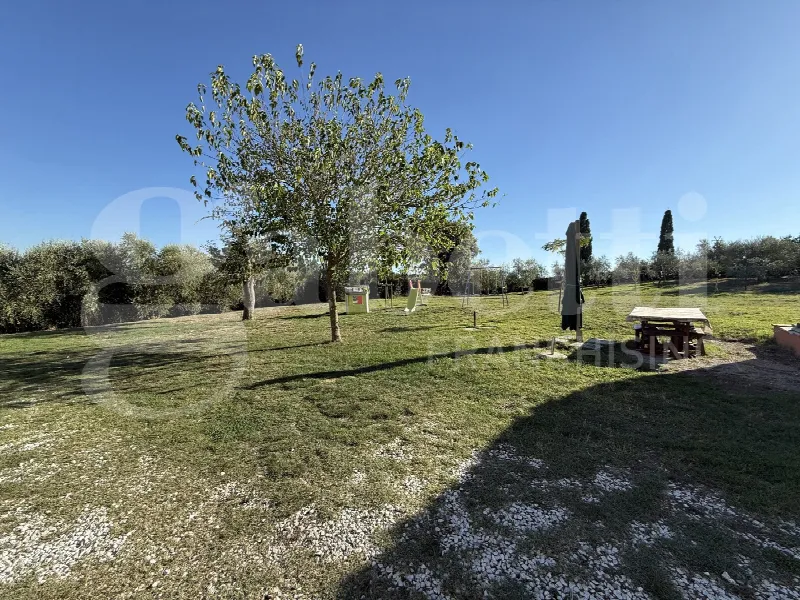 Rustico/Casale in vendita a Fauglia - foto 3