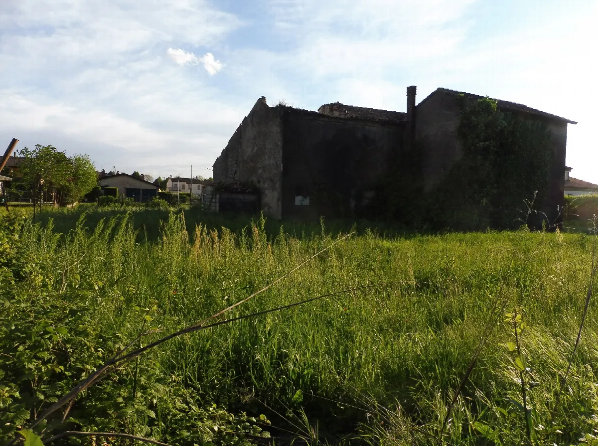 Rustico/Casale in vendita a Noventa Vicentina - foto 3