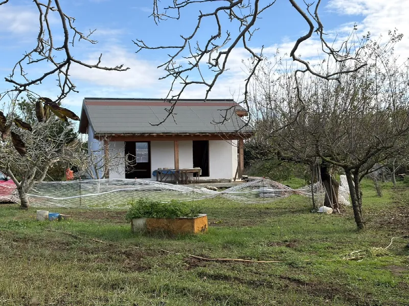 Rustico/Casale in vendita a Ladispoli - foto 3