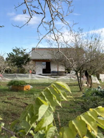 Rustico/Casale in vendita a Ladispoli - foto 4