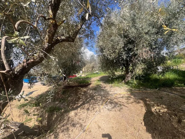 Villa in vendita a Calvi dell'Umbria - foto 4