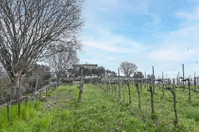 Villa in vendita a Chiuduno - foto 4