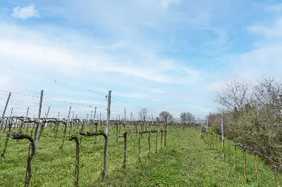 Villa in vendita a Chiuduno - foto 6