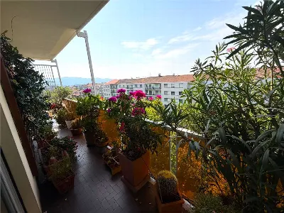 Appartamento in vendita a Torino, Campidog... - foto 4
