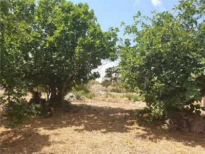 Villa in vendita a Noto - foto 5