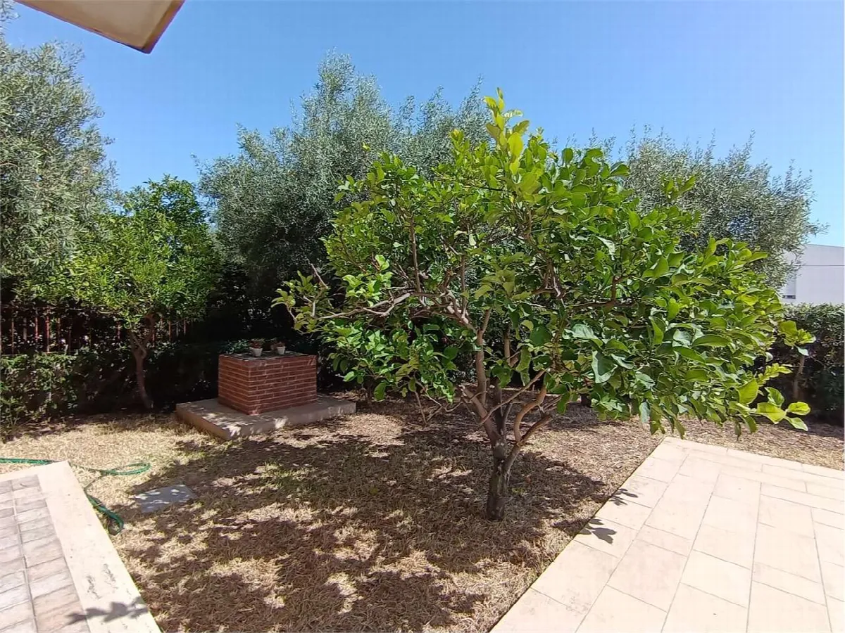 Villa in vendita a Siracusa - foto 3