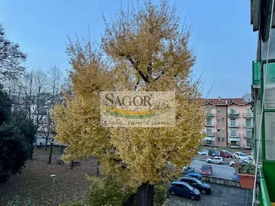 Appartamento in vendita a Pinerolo - foto 9