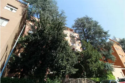 Appartamento in vendita a Novara, Porta mo... - foto 2