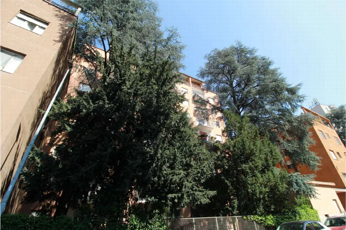 Appartamento in vendita a Novara, Porta Mortara, Sacro Cuore, San Martino, San Paolo - foto 2