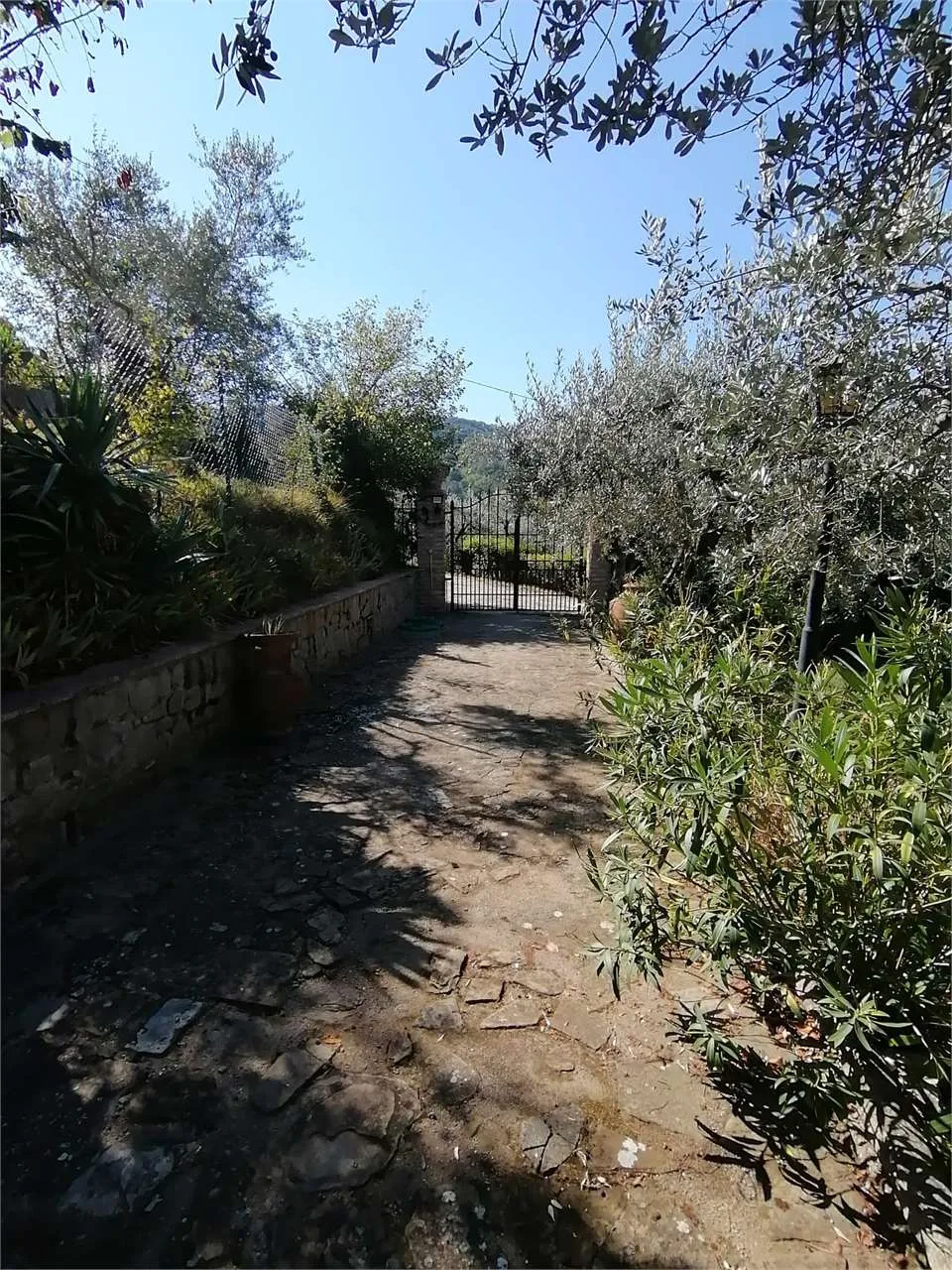 Villa in vendita a Torgiano - foto 4