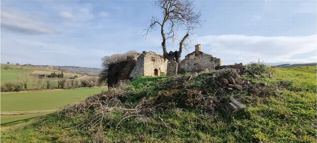 Rustico/Casale in vendita a Todi - foto 2