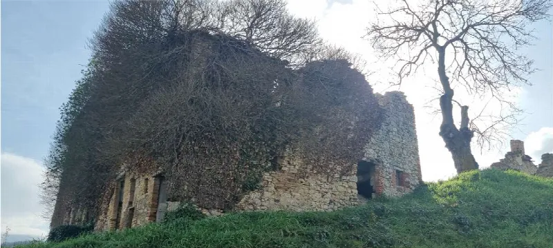 Rustico/Casale in vendita a Todi - foto 8